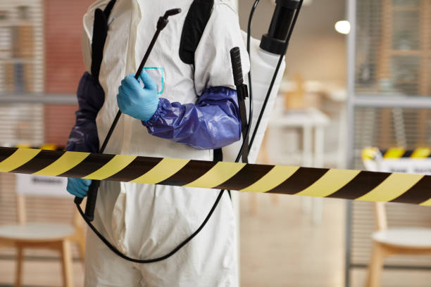 Professional Sewage Cleanup technician working in Campbell, FL
