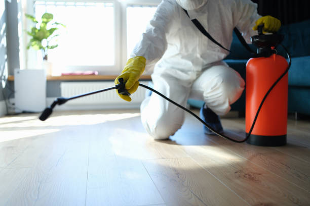 Trusted Sewage Cleanup service in Campbell, FL - Four Month Blood Cleanse